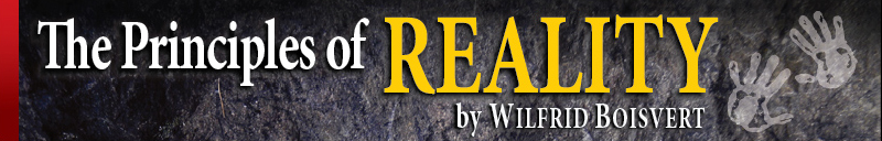 The Principles of Reality Banner